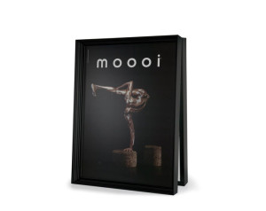 moooi frame
